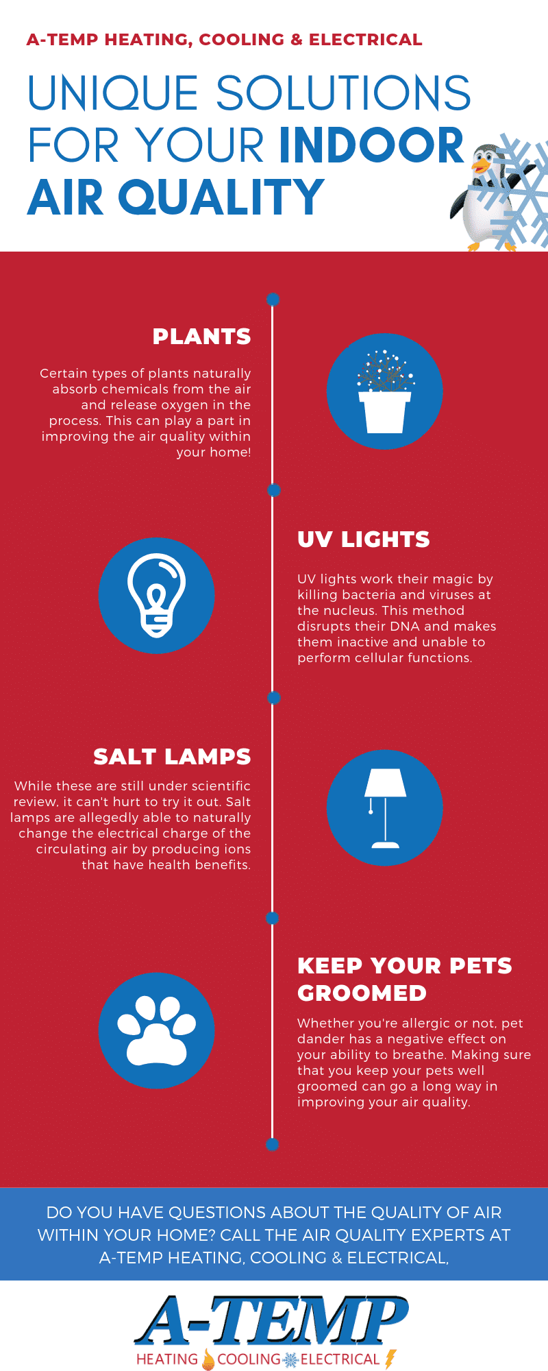 Unique Solutions For Your Indoor Air Quality Infographic